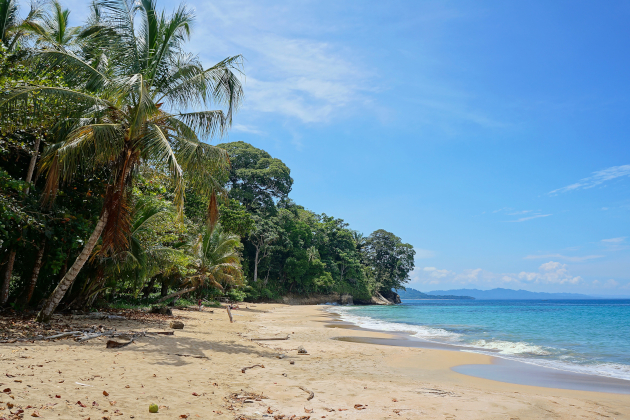 Zu den Informationen über Puerto Viejo