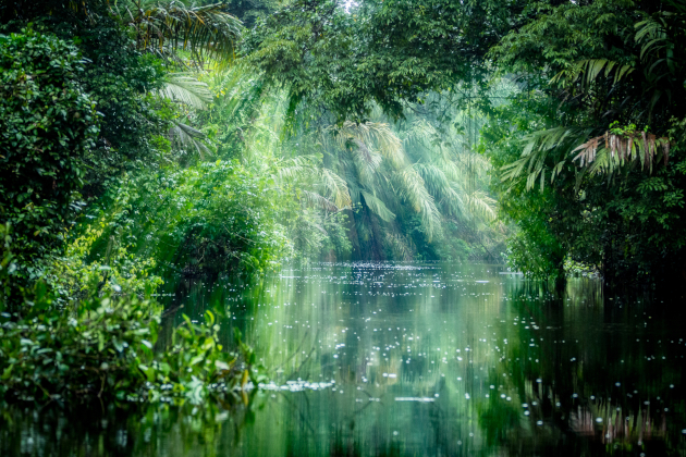 Costa Rica Tortuguero – Dschungelkanal im Nationalpark mit dichter Regenwaldvegetation | Gebeco