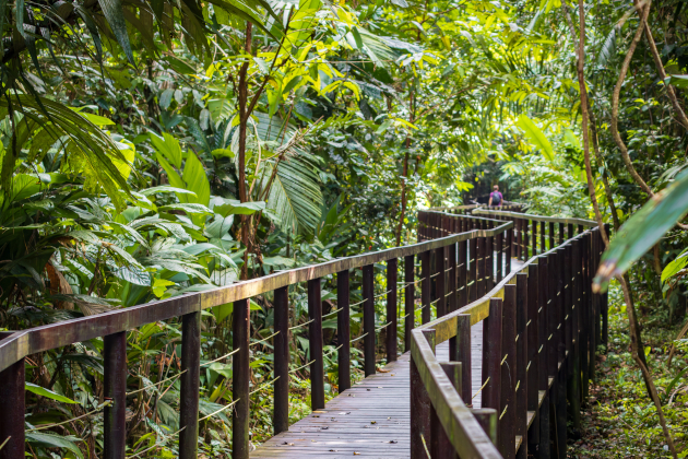Costa Rica Cahuita Nationalpark – Holzsteg durch tropischen Regenwald an der Karibikküste | Gebeco