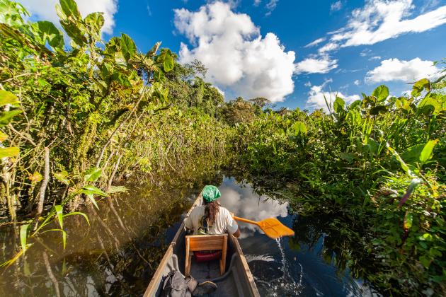 Bootsfahrt durch üppige Vegetation im Amazonasgebiet bei Tena, Ecuador. | Gebeco