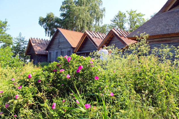Der Nationalpark Lahemaa in Estland | Gebeco