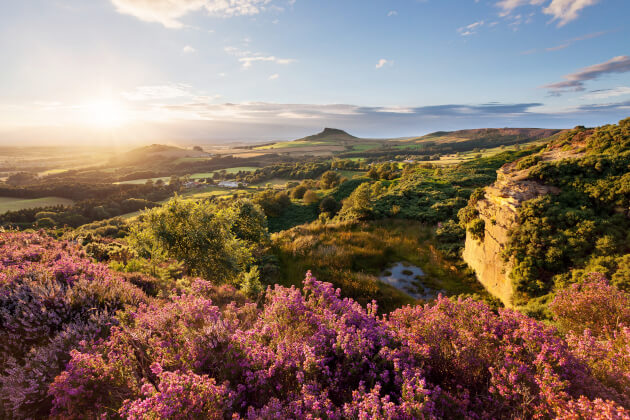 Blühende Heide in den Yorkshire Moors bei Sonnenuntergang mit Blick auf Hügellandschaft und Weite. | Gebeco