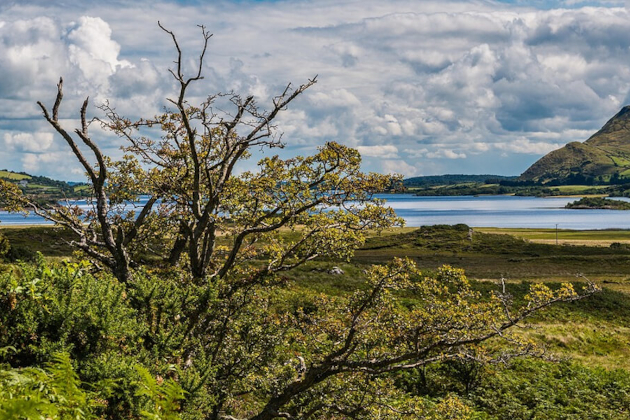 Zu den Informationen über Connemara