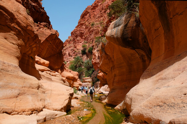 Wanderer auf dem Dana-Trail in einer engen Schlucht mit roten Sandsteinfelsen und Palmen im Dana Biosphärenreservat, Jordanien. | Gebeco