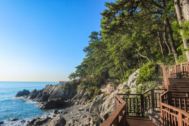 Küstenweg mit Holzstegen am Meer in Busan Südkorea. | Gebeco