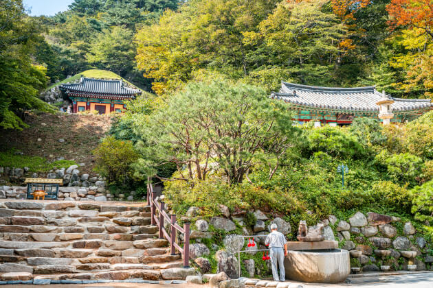 Bulguksa Tempel in Gyeongju Südkorea umgeben von Natur. | Gebeco