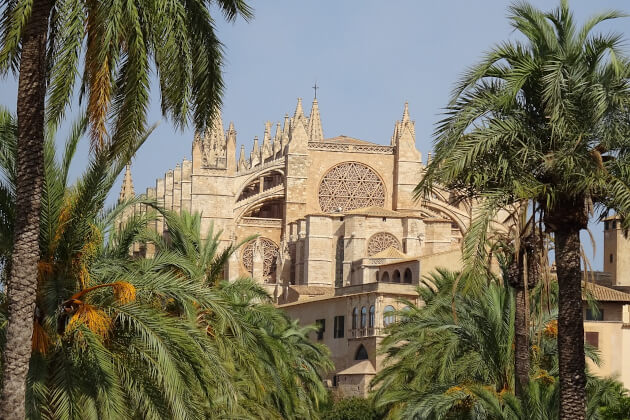 Kathedrale La Seu in Palma de Mallorca hinter Palmen bei strahlendem Tageslicht. | Gebeco