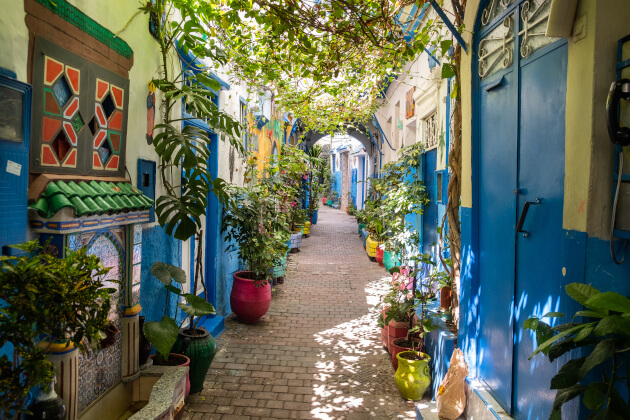 Gasse in der Medina von Tanger Marokko mit bunten Blumentöpfen und blauen Türen. | Gebeco