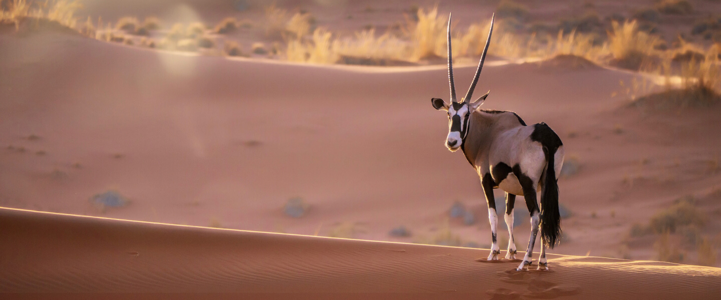 Sossusvlei