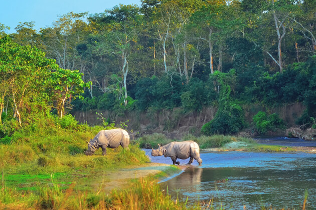 Zu den Informationen über den Chitwan Nationalpark