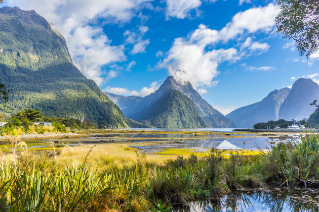 Zu den Ländertipps für Neuseeland