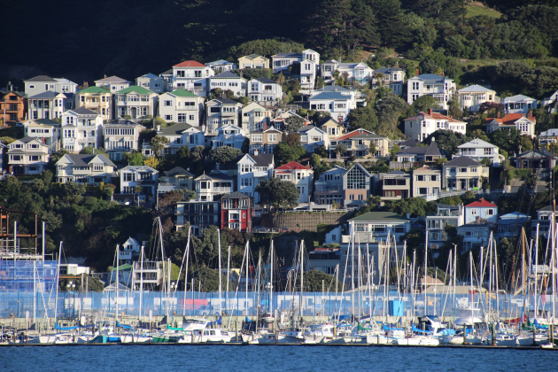 Zu den Informationen über Wellington
