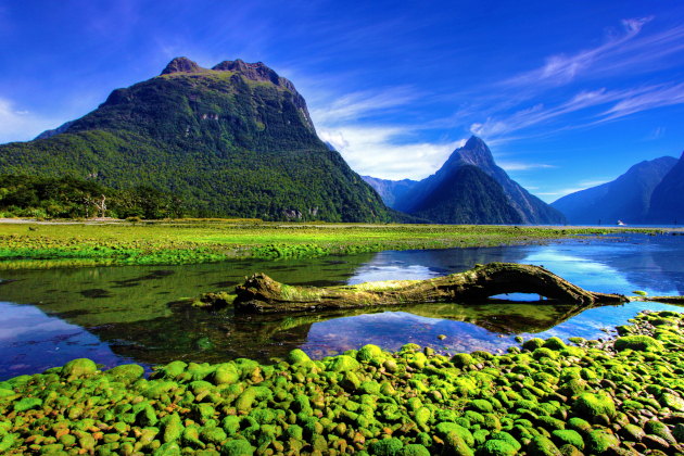 Zu den Informationen über Milford Sound
