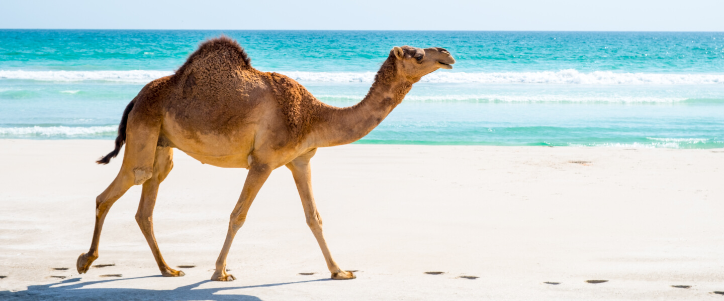Dhofar