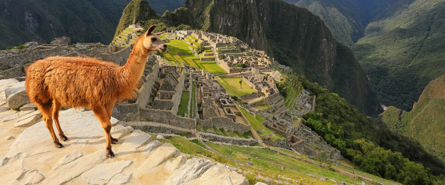Machu Picchu