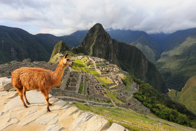 Peru Machu Picchu – Lama vor den berühmten Inka-Ruinen in den Anden | Gebeco