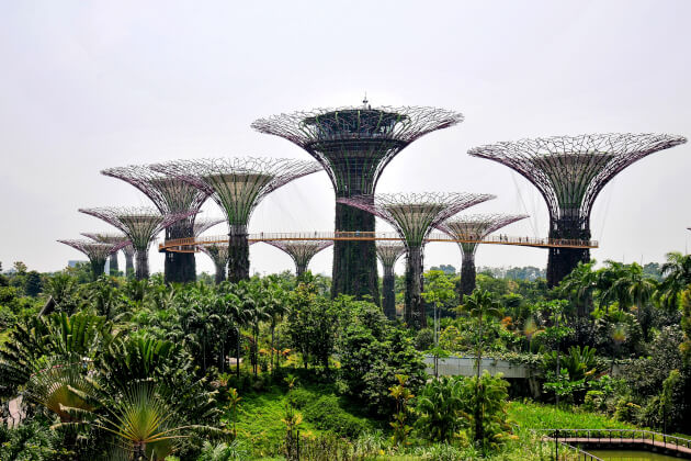 Gardens by the Bay in Singapur mit Supertrees und Hängebrücke – Natur trifft Innovation. | Gebeco