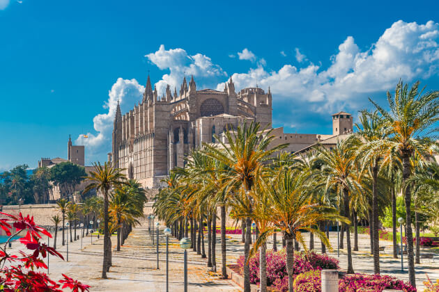 Kathedrale La Seu in Palma de Mallorca hinter Palmen bei strahlendem Tageslicht. | Gebeco