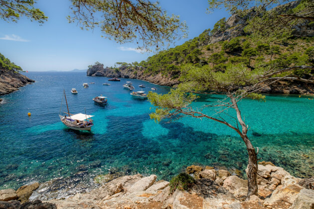 Bucht von Pollença auf Mallorca mit türkisfarbenem Wasser, Booten und bewaldeten Felsen im Sommerlicht. | Gebeco
