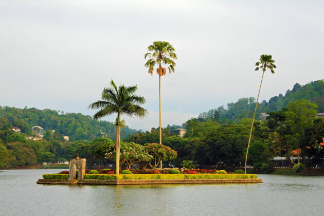 Grün bepflanzte kleine Insel mit Palmen im Kandy-See in Sri Lanka, umgeben von bewaldeten Hügeln. | Gebeco