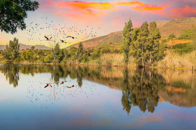 See am Westkap Südafrika mit Spiegelung und Flamingos im Abendhimmel. | Gebeco