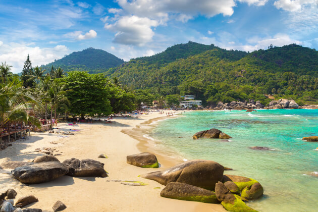 Goldener Sandstrand von Koh Samui, gesäumt von Palmen und türkisblauem Wasser. | Gebeco