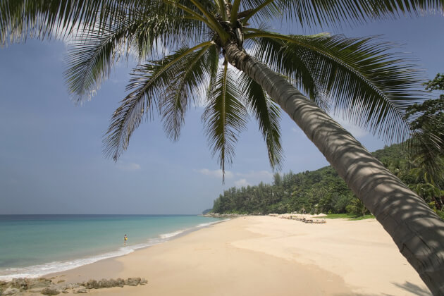 Tropischer Strand mit Palmen in Phuket, Thailand.