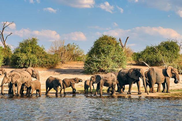 Zu den Ländertipps für Botswana