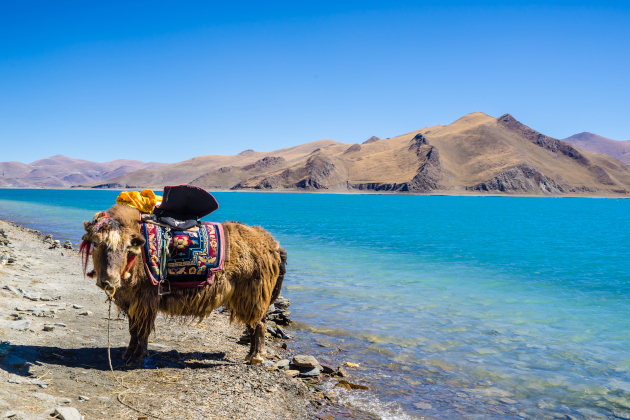 Zu den Informationen über Tibet