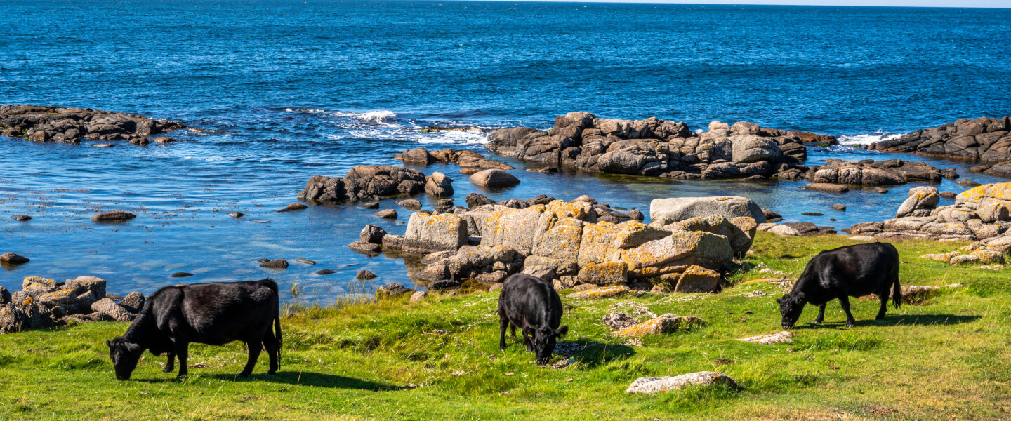 Bornholm
