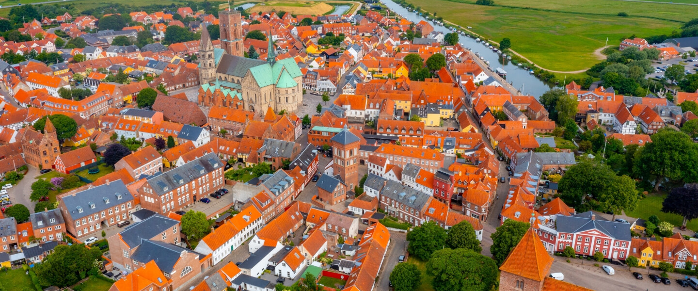 Ribe