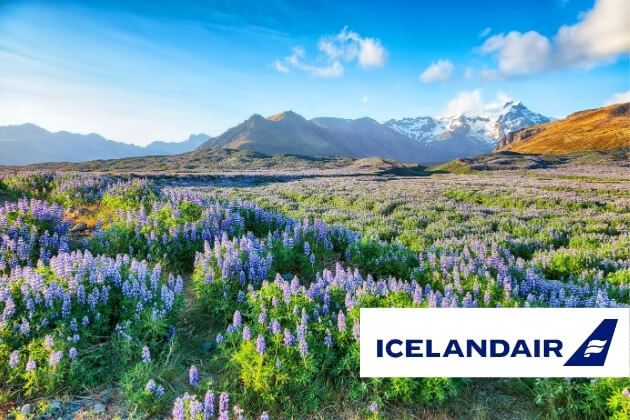 Zu den Ländertipps für Island
