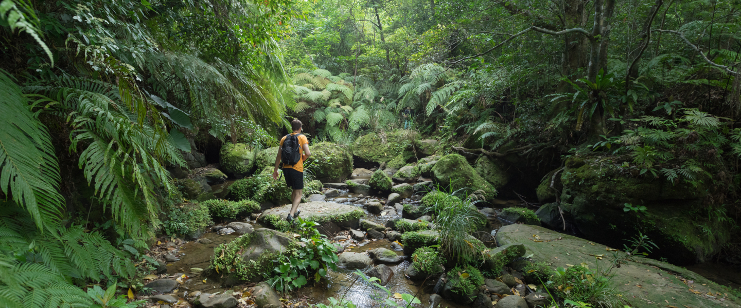 Japans Natur erleben Japans Natur erleben