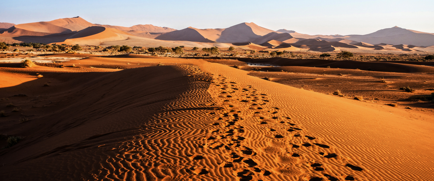 Gewinnenspiel Namibia-Ausstellung