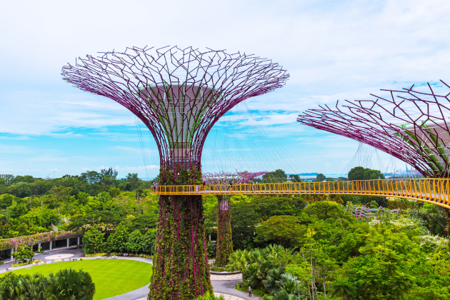 Zu den Ländertipps für Singapur