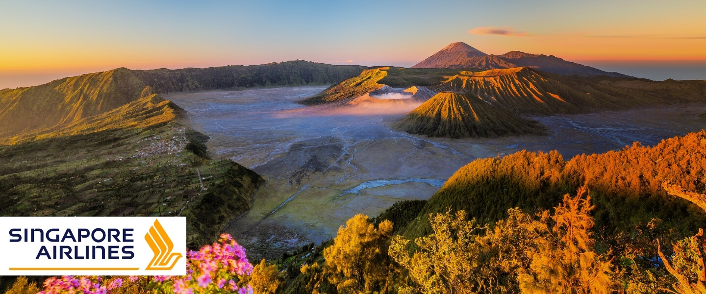 Zu unseren Indonesien-Reisen
