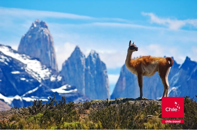 Zu den Ländertipps für Chile