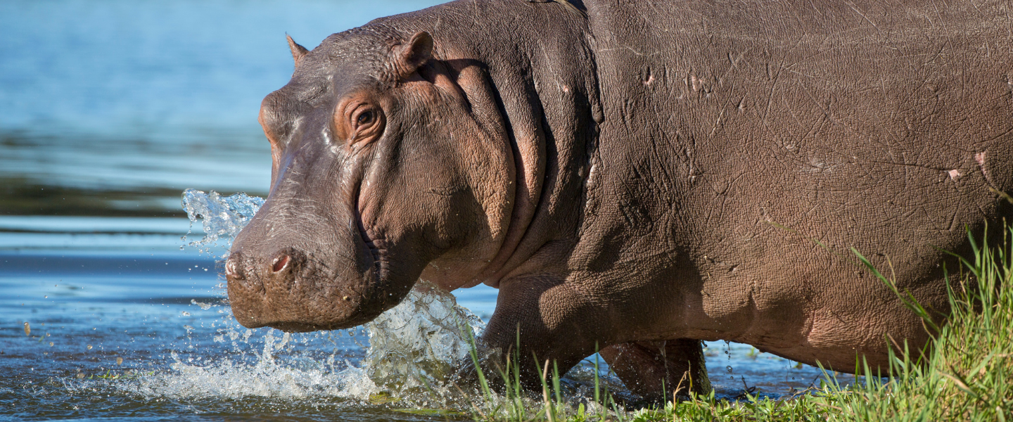 200 € Preisvorteil: Namibia und Südafrika 200 € Preisvorteil: Namibia und Südafrika