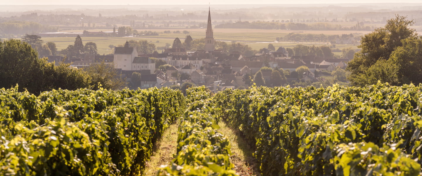 Erleben Sie den Herbst in Frankreich