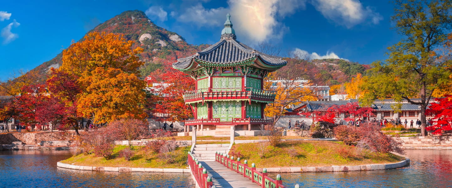 Erleben Sie den Herbst in Südkorea
