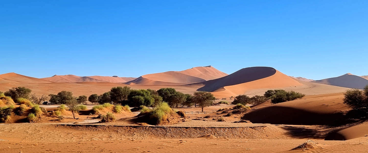 Bild zum Artikel "Ein Reisebericht: Namibia – Wildnis und Weite mit Flair"