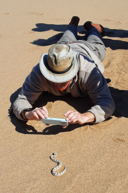 Person liegt auf Sand und fotografiert eine kleine Schlange bei einer Wüstentour — Nahaufnahme auf den sandigen Boden